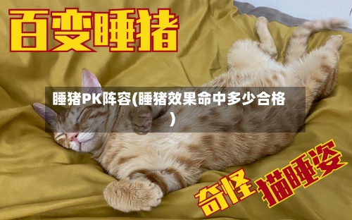 睡猪PK阵容(睡猪效果命中多少合格)