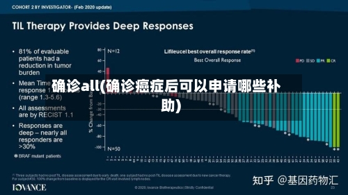 确诊all(确诊癌症后可以申请哪些补助)