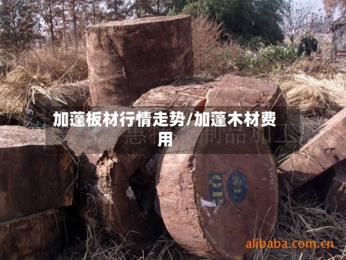 加蓬板材行情走势/加蓬木材费用