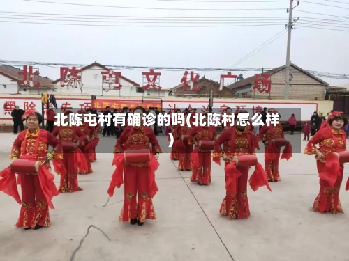 北陈屯村有确诊的吗(北陈村怎么样)-第3张图片