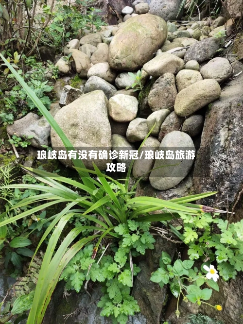 琅岐岛有没有确诊新冠/琅岐岛旅游攻略-第3张图片