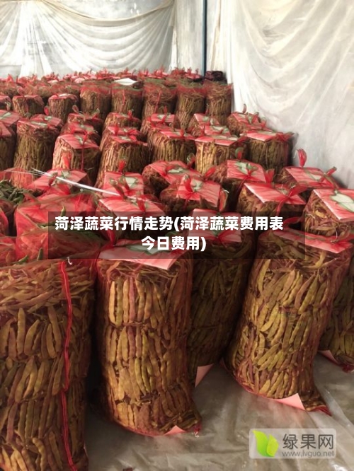 菏泽蔬菜行情走势(菏泽蔬菜费用表今日费用)-第2张图片