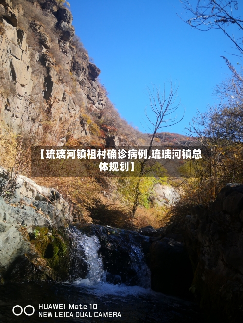【琉璃河镇祖村确诊病例,琉璃河镇总体规划】