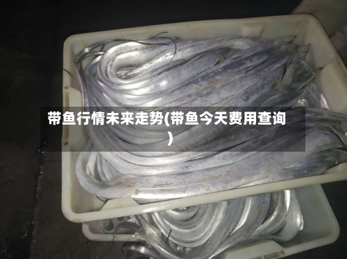 带鱼行情未来走势(带鱼今天费用查询)-第3张图片