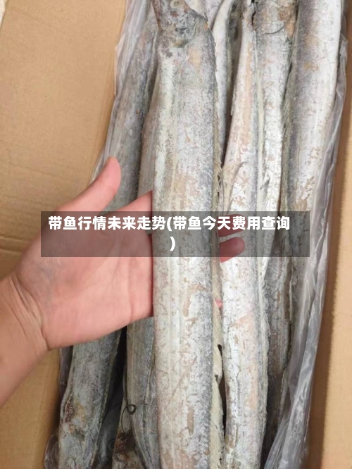 带鱼行情未来走势(带鱼今天费用查询)-第2张图片
