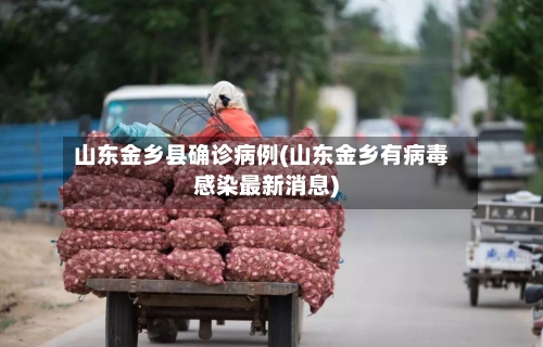 山东金乡县确诊病例(山东金乡有病毒感染最新消息)