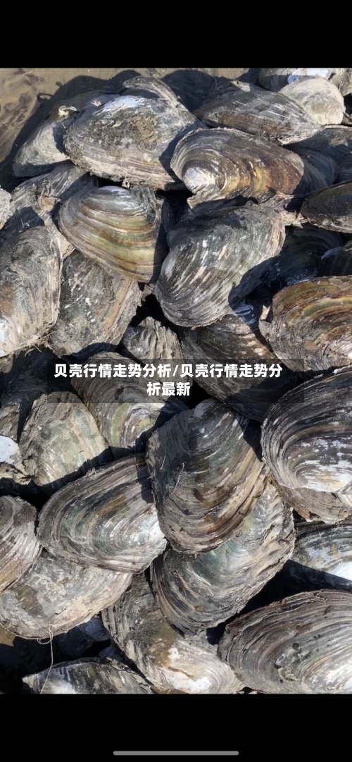 贝壳行情走势分析/贝壳行情走势分析最新