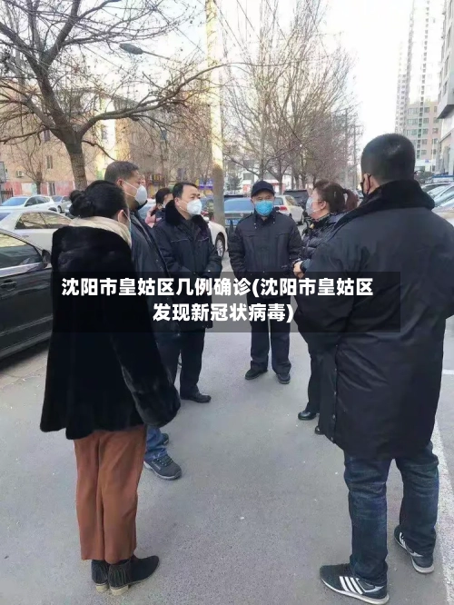沈阳市皇姑区几例确诊(沈阳市皇姑区发现新冠状病毒)-第3张图片