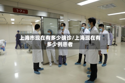 上海市现在有多少确诊/上海现在有多少例患者-第3张图片