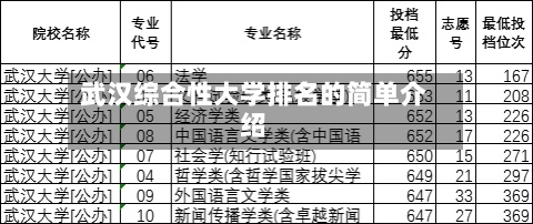 武汉综合性大学排名的简单介绍-第2张图片