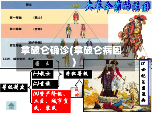 拿破仑确诊(拿破仑病因)-第2张图片