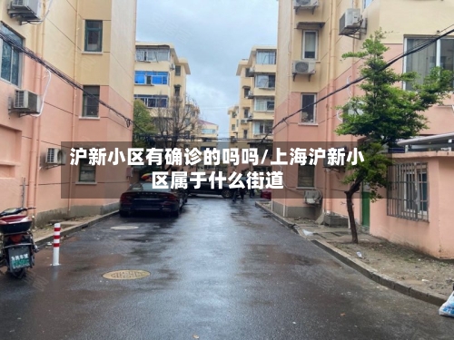 沪新小区有确诊的吗吗/上海沪新小区属于什么街道-第2张图片