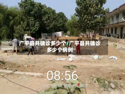 广平县共确诊多少个/广平县共确诊多少个病例-第2张图片