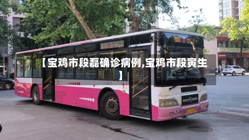 【宝鸡市段磊确诊病例,宝鸡市段寅生】