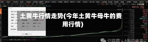 土黄牛行情走势(今年土黄牛母牛的费用行情)-第2张图片