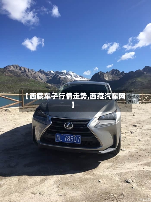【西藏车子行情走势,西藏汽车网】