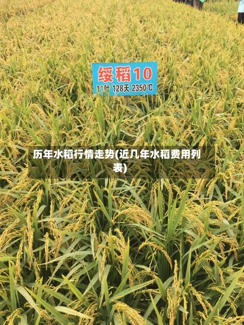 历年水稻行情走势(近几年水稻费用列表)-第2张图片
