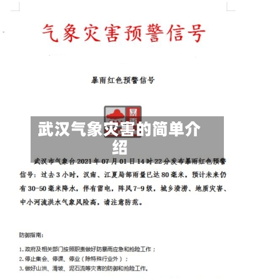 武汉气象灾害的简单介绍