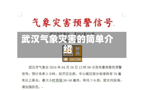 武汉气象灾害的简单介绍-第2张图片