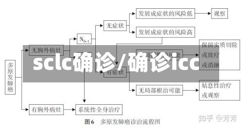 sclc确诊/确诊icc-第2张图片