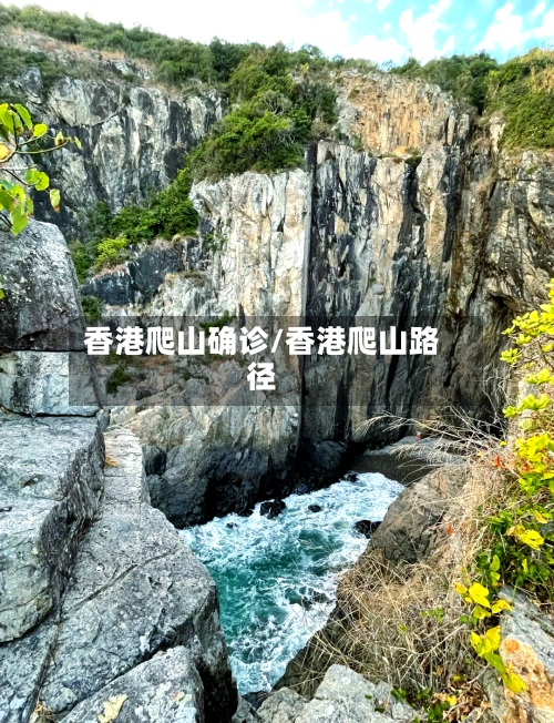 香港爬山确诊/香港爬山路径-第2张图片