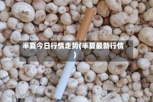 半夏今日行情走势(半夏最新行情)-第2张图片