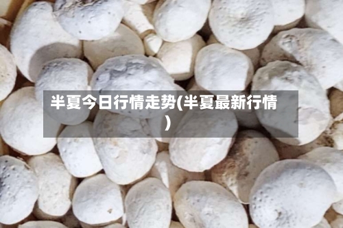 半夏今日行情走势(半夏最新行情)