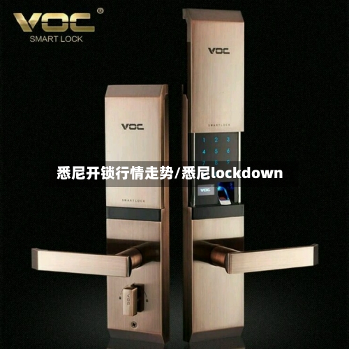 悉尼开锁行情走势/悉尼lockdown
