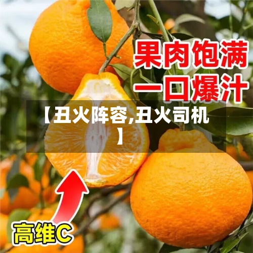【丑火阵容,丑火司机】