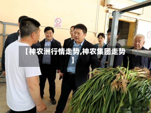 【神农洲行情走势,神农集团走势】-第3张图片