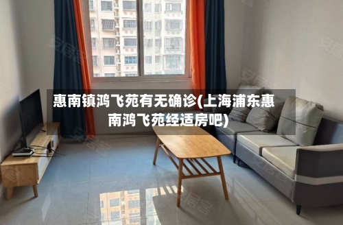 惠南镇鸿飞苑有无确诊(上海浦东惠南鸿飞苑经适房吧)-第3张图片