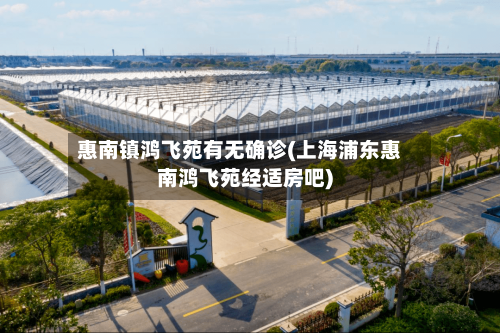 惠南镇鸿飞苑有无确诊(上海浦东惠南鸿飞苑经适房吧)-第2张图片