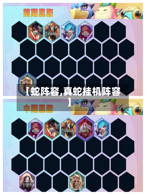 【蛇阵容,真蛇挂机阵容】-第3张图片