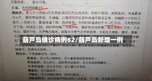 葫芦岛确诊病例62/葫芦岛新增一例-第2张图片