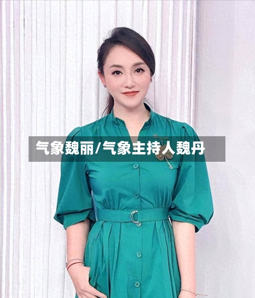 气象魏丽/气象主持人魏丹-第2张图片