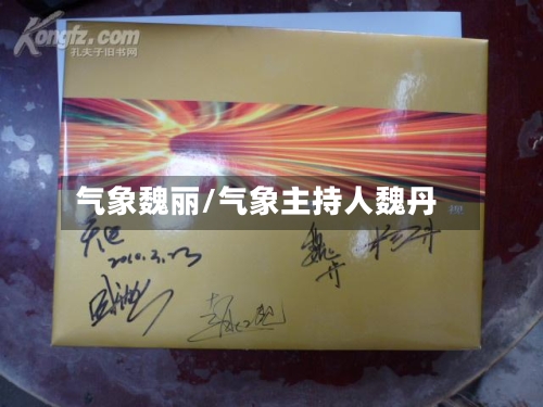 气象魏丽/气象主持人魏丹