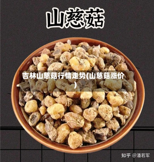 吉林山慈菇行情走势(山慈菇涨价)-第2张图片
