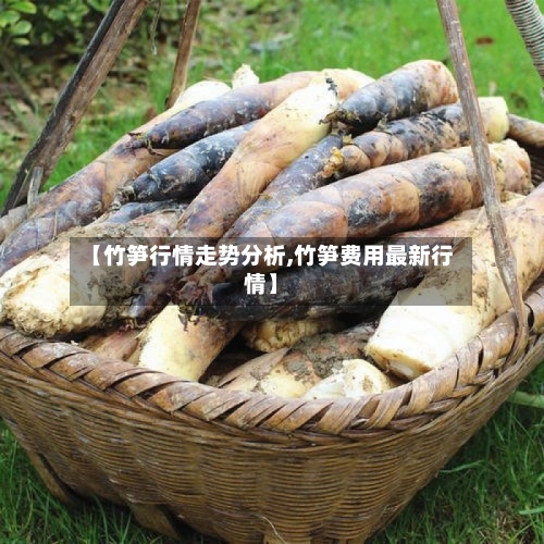 【竹笋行情走势分析,竹笋费用最新行情】