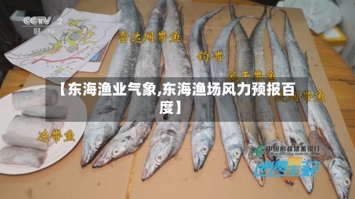 【东海渔业气象,东海渔场风力预报百度】