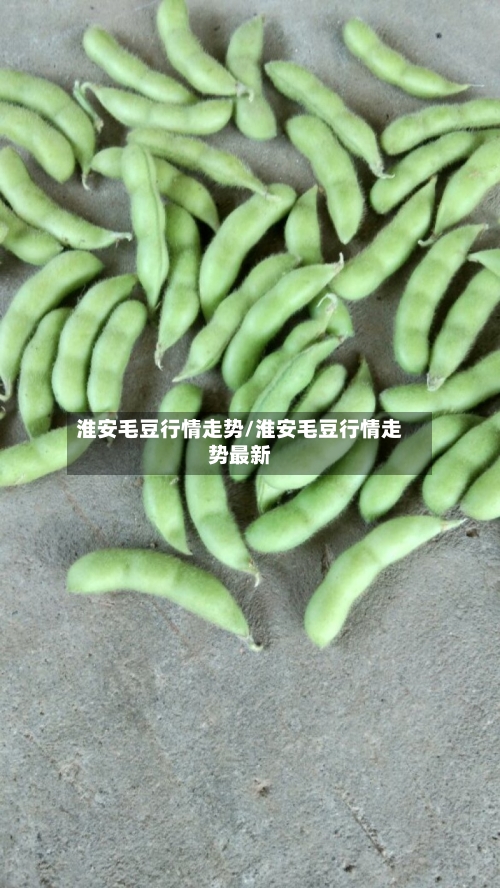 淮安毛豆行情走势/淮安毛豆行情走势最新