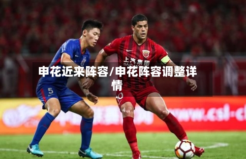 申花近来阵容/申花阵容调整详情