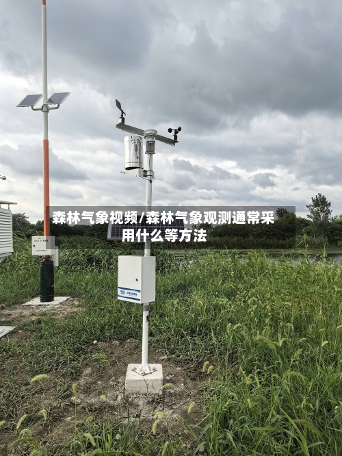 森林气象视频/森林气象观测通常采用什么等方法