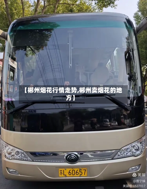 【郴州烟花行情走势,郴州卖烟花的地方】