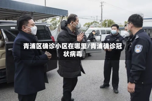 青浦区确诊小区在哪里/青浦确诊冠状病毒-第2张图片