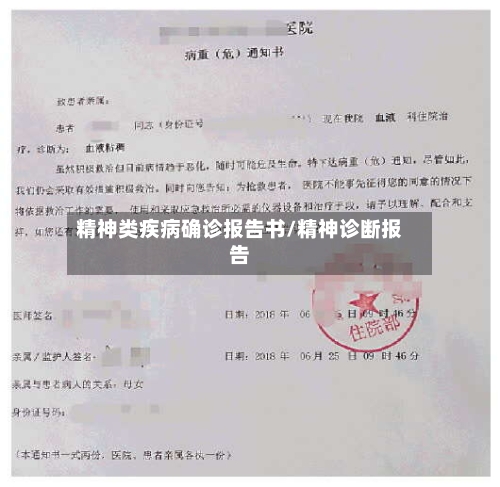 精神类疾病确诊报告书/精神诊断报告-第3张图片