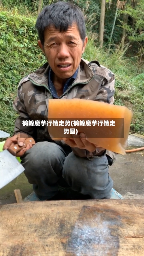 鹤峰魔芋行情走势(鹤峰魔芋行情走势图)