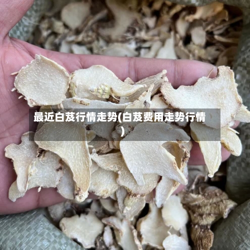 最近白芨行情走势(白芨费用走势行情)