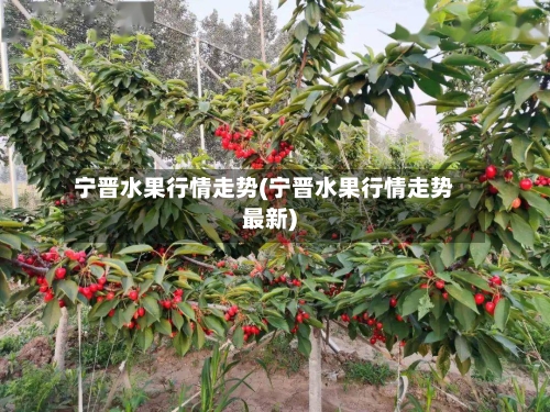 宁晋水果行情走势(宁晋水果行情走势最新)-第2张图片