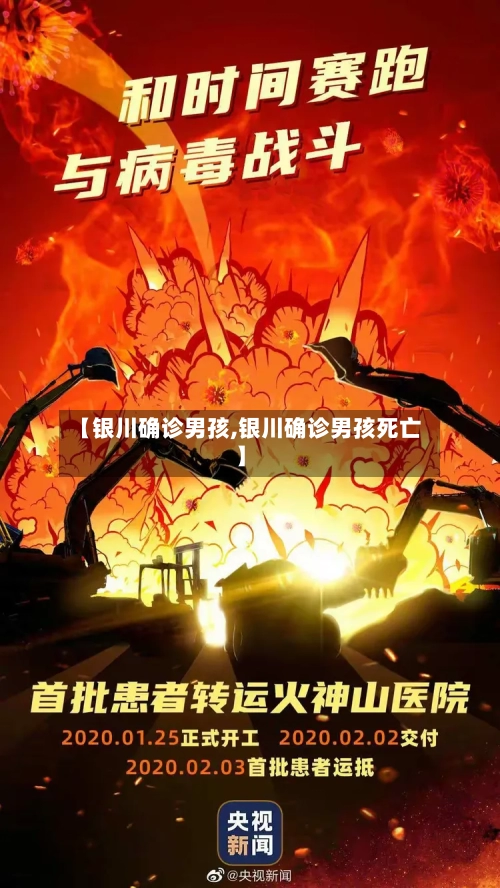 【银川确诊男孩,银川确诊男孩死亡】-第2张图片