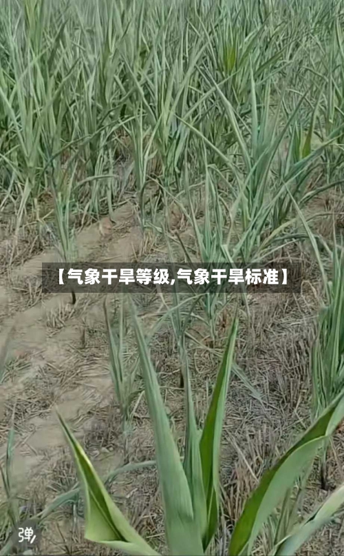 【气象干旱等级,气象干旱标准】